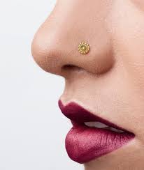 Surgical Steel Nose Hoop Hinged Cartilage Earring Hoop 20G Nose Ring Rose  Gold Plated Nose Rings 8Mm 20 Gauge Piercing Earring Hoop For Rook Helix  Daith Tragus Seamless - Walmart.Com