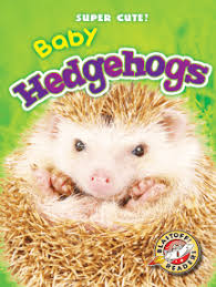 No need to register, buy now! Read Baby Hedgehogs Online By Megan Borgert Spaniol Books