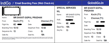 Indigo Web Check In Process Step By Step Guides