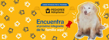 Prodefensa Animal A C Prodan Videos Facebook
