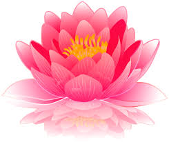 Pink Water Lily Png Clip Art Image Flower Art Lotus Flower Painting Flower Painting