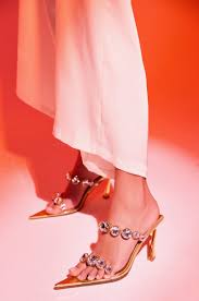 Image result for Alinula paradoxa