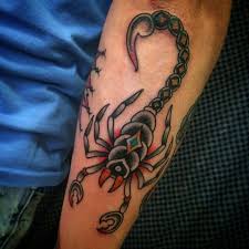 Scorpion Tattoos On Arm Www Pixshark Com Images Galleries With A Scorpion Tattoo Tattoos Tattoos Gallery