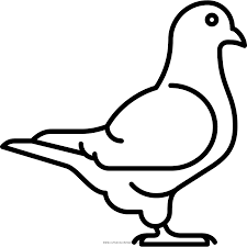 600 x 801 file type: Pigeon Coloring Page Ultra Coloring Pages