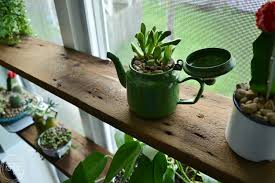 Give your plants a stylish place to sit with these free plant stand plans. Diy Floating Shelves In Windowsill With Succulent Garden In Vintage Enamelware 4 Of 8 Refresh Living