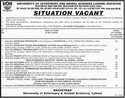 If you don't have a malaysian citizenship, but are living in malaysia or if you are planning to move to malaysia and are looking for jobs that can sponsor you, it is up to each individual. Uvas Lahore Jobs Assistant Professor Lecturer 2021 Job Advertisement Pakistan