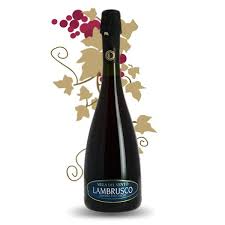 Lambrusco Villa Del Vento Sorbara Doc Secco 75 Cl Vin Petillant Vins Du Monde Fruits Rouges