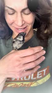 Does Happy go outside? 🤔 , Happy is one smart little bird, he knows he has  it good. 🥰 He also knows there’s a hawk that stalks the birds around here.  The hawk actually tried to get Happy through the ...