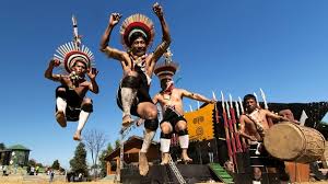 Image result for nagaland images