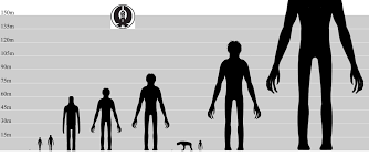 My Art And Ideas Decided To Make A Quick Height Comparison