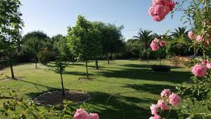 O Meu Jardim Decoracao Com Vida