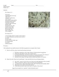 This is an online quiz called label a long bone there is a printable worksheet available for download here so you can take the quiz with pen and paper. Anatomical Tissue Lab Mccarter Anatomy Physiology