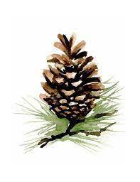 You will not completely coat the pine cone in this first step; 18 Watercolour Pine Cone Ideas Watercolor Art Christmas Watercolor Watercolor