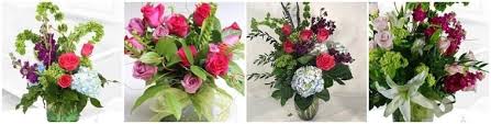A google ingyenes szolgáltatása azonnal lefordítja a szavakat, kifejezéseket és weboldalakat a magyar és több mint 100 további nyelv kombinációjában. 8 Best Flower Delivery In Greenville South Carolina 2021