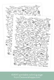 100 Dinosaurs Giant Coloring Poster Dinosaur Posters Coloring Posters Poster Colour