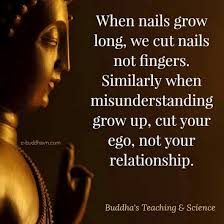 This is a collection of gratitude quotes. Pin On Inspirational Quotes