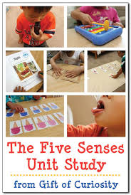 Work on critical communication skills and language development whether you are an slp, educator, or parent working with your child at home. Unit Study The Five Senses Gift Of Curiosity