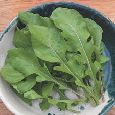 Other common names include garden rocket. Arugula Seeds Rocket