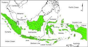 Menjadikan admin sangat ingin membuat angka 831 ini adalah angka singkatan gaul untuk dijaman sekarang yang sudah maju. Malaria Distribution Prevalence Drug Resistance And Control In Indonesia Sciencedirect