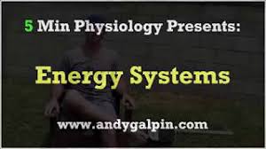 Energy Systems How The Body Uses Fat Carbs Protein For Fuel 5 Min Phys Youtube Comparison of aerobic and anaerobic respiration.