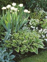 A landscaping wall can be freestanding to define an area, to provide a garden backdrop, or to create privacy. Gorgeous White And Green Flower Bed Great Gardens Ideas Plants Shade Garden Shade Plants