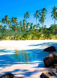 Gallery Tortugas Villas Mexico Travel Vacation Spots Wonders Of The World
