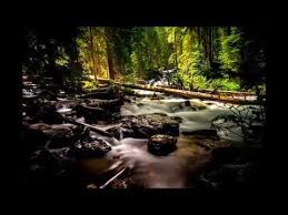 Dinlendirici Piyano Sesi Kus Sesleri Doga Sesleri Su Siriltisi Meditasyon Reiki Yoga Youtube 2020 Reiki Meditasyon Yoga