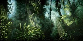 Jungle Backdrop Google Search Forest Backdrops Jungle Illustration Backdrops
