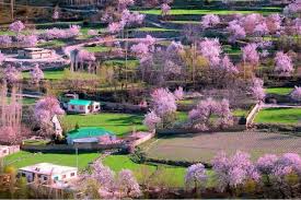 Hunza Besham & Fairy Meadows