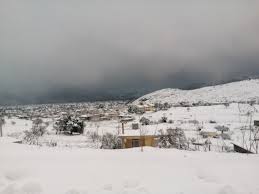 14,037 likes · 4 talking about this. Krhth Re8ymno Eyxarista Nea Gia Toys Agnooymenoys Kthnotrofoys Se E3eli3h H Megalh Epixeirhsh