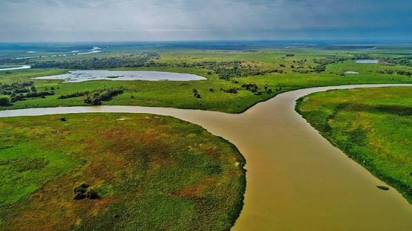 C&aacute;ceres : Esta&ccedil;&atilde;o Ecol&oacute;gica de Taiam&atilde;, um ref&uacute;gio no Pantanal. - Cia de Not&iacute;cias