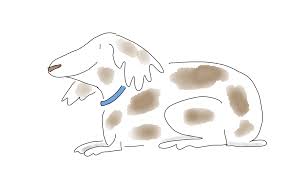 Shade the nose in and draw its smiling mouth. How To Draw A Dog And Maybe Become A Better Person By Liza Donnelly Tenderly