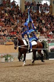 Vaulted In College But Not Like That Wow Voltigieren Tiere