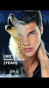 Incredible Pencil Art of Twilight's Jacob the Wolf