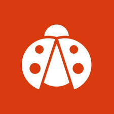 Ladybugz Interactive Agency, Boston MA