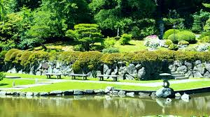 Azaleas will grow new branches from right below wherever you cut. Karikomi The Art Of Shearing Back Seattle Japanese Garden