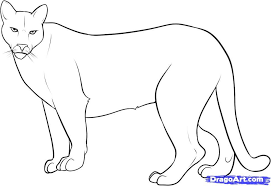 Fun lesson activity about the mountain lion. How To Draw Mountain Lion Lion Coloring Pages Mountain Drawing Mountain Lion