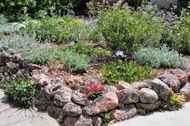 Because it only grows 15 to 20 feet in height and width, it is an excellent choice to include in your small front yard. California Native Curb Appeal California Native Plant Society