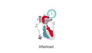 Image result for Afterload