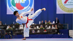 Breaking news headlines about championship, linking to 1,000s of sources around the world, on newsnow: Ekf Junior Championship 2020 Wkf