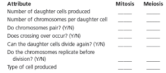List The Differences Between Mitosis And Meiosis In Bartleby