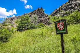 Geistige, seelische, körperliche oder biologische eigentümlichkeit, eigenart von. Los Katt I Den Prague Zoo Tjeckien Fotografering For Bildbyraer Bild Av Parkera Vild 86461607