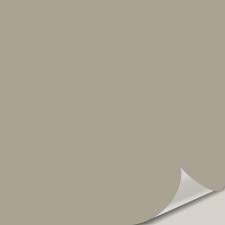 Peel and stick paint samples for intellectual gray now available! Intellectual Gray Coordinating Colors And Color Schemes