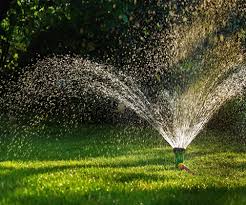 If at the end of the week it's rained. Watering Instructions Weed Man Lawn Care Library