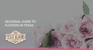 Periwinkle, also known as myrtle, is a popular ground cover with shiny dark green leaves that bloom in april and may with purple, blue, or white flowers. Seasonal Guide To Flowers In Texas Texas Blooms Gifts