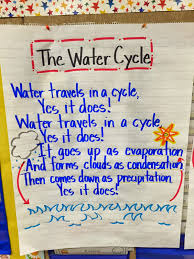 First Grade Fanatics Water Cycle