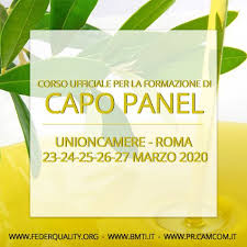 Corso Ufficiale Per Capo Panel