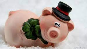 Is Your Pig Whistling Quirky German Idioms Featuring Pigs Lifestyle Dw 04 02 2019