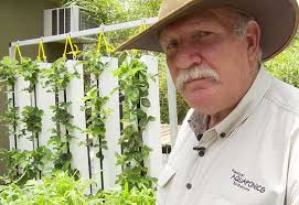 This diy hydroponic tower is the easiest way to grow juicy strawberries in a small space. Strawberry Aquaponics Tower Aquaponic