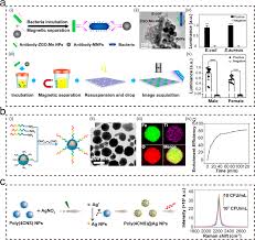 Materials-Functionalized Point-of-Care Testing Devices for Pathogen  Detection